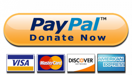 paypalbutton-450x257.png